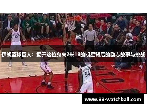伊朗篮球巨人：揭开这位身高2米18的明星背后的励志故事与挑战