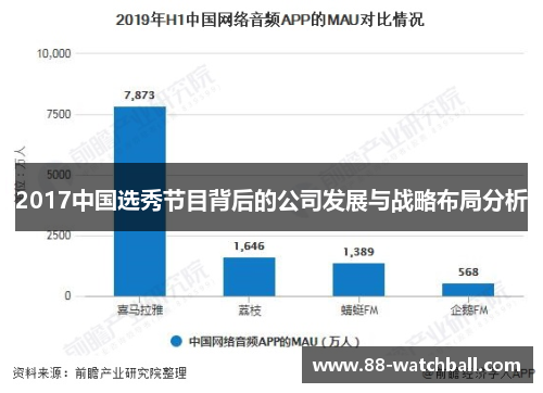 2017中国选秀节目背后的公司发展与战略布局分析