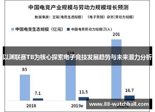 以渊联赛TB为核心探索电子竞技发展趋势与未来潜力分析